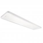 SGL SENSE SURFACE CONNECT         212354 