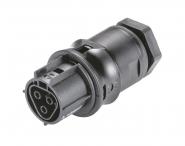 Wieland Buchsenteil   RST20I3F B2 M00 SW 
