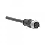 Bernstein 6075689093  SFW-M12B5/AW-5PU A 