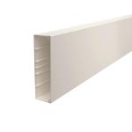 OBO WDK60210RW Wand-u.Deckenkanal 