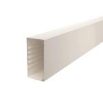 OBO WDK80170RW Wand-u.Deckenkanal 