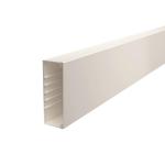 OBO WDK60170RW Wand-u.Deckenkanal 