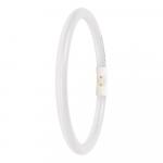 Ledvance LED T5 FC 22 EXTERNAL P 11.6W 