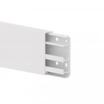 GGK 114008 4D 20x80-9010        4D 20x80 