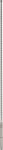 Bosch EXPERT Hammerbohrer SDS 2608900203 