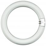 SUH Leuchtstofflampe Ringform      44100 