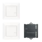 Legrand 752150 Funk-Set Wechsel+Mikrom. 