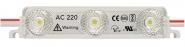 MLIG AC LED Modul 100er Kette    81-3310 