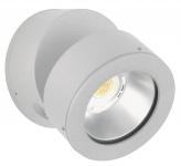 Albert Wand-und Deckenstrahler    692389 