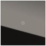 GIRA 5561000 Kameramodul System 106 Glas 