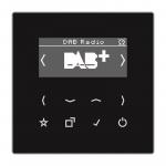 Jung Smart Radio DAB+            DABLSSW 