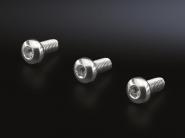Rittal Linsenkopfschrauben    SZ 2489500 