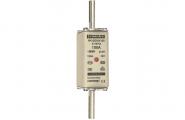 Mersen 1B163.000000 NH1 100A gG 500V 