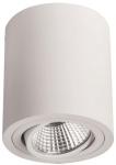 BRUM LED-Deckenanbaustr.        12063173 