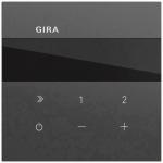 GIRA 232074 UP-Radio IP System 70 