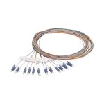 CobiNet 115240 LWL-Faserpigtail L2m 1=12 