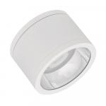 Ledvance DL SURFACE IP65 DN 160 P 30W 
