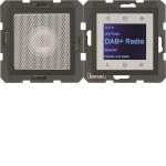 Berker Radio Touch              30801606 