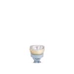 Philips MSD Platinum 21 R 1CT/8 
