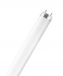 OSR L-Lampe L 30W-865 (-11) 