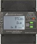 Gossen   EM2289, MID, 4-L, 5(80)A TCP/IP 
