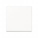 JG Wippe f. Schalter/Taster - A590BFWW 