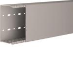 Hager Verdrahtungskanal   BA66012007030B 