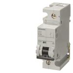Siemens Automat C 80A           5SP41807 