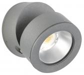 Albert Wand-und Deckenstrahler    622389 