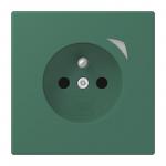 Jung JUNG HOME        BT LC 1521 F S 219 