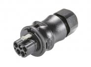 Wieland Steckerteil RST20I5S S1 ZR1 V SW 