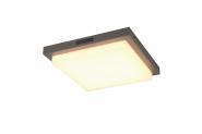 TRIO Wandleuchte BERMEJO 14W   630369242 