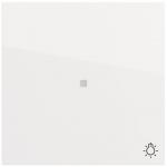 GIRA 367470 Wippe Kontrollf.+Symb.Licht 