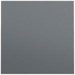 GIRA 329673 Wippe System 70 