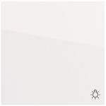 GIRA 328570 Wippe Symb.Licht 