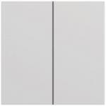 GIRA 329576 Wippe 2f System 70 Grau 