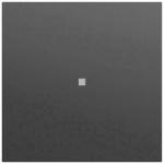GIRA 329074 Wippe Kontrollf.System 70 