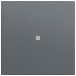 GIRA 329073 Wippe Kontrollf.System 70 