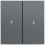 GIRA 329473 Wippe 2f Pfeil System 70 