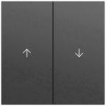 GIRA 329474 Wippe 2f Pfeil System 70 