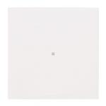 BJ Wippe 1-fach neutral      6230-10-44M 