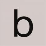 RZB Klebebuchst "b" 100mm  99222.013.b/K 