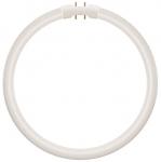 Ledvance LED T5 FC 22 EXTERNAL P 11.6W 