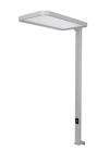 DOTLUX LED-Tischleuchte      4331-140240 