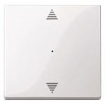 Merten Wippe f.Taster-Modul MEG5215-0319 