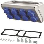 Hensel Mi Connection Box 8x     Mi CB 18 
