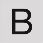 RZB Klebebuchst "B" 120mm    99223.013.B 