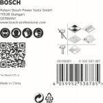 Bosch EXPERT HEX-9            2608900585 