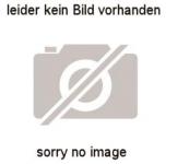FLUOLITE Ersatzakku für FL 2-4  30019000 