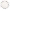 PIL LED Wand und Deckenleuchte    304127 